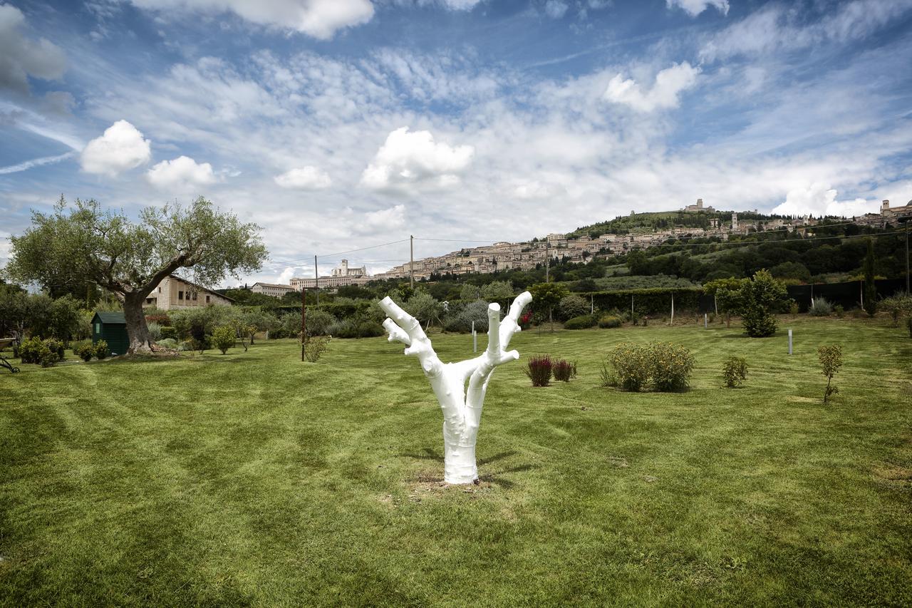 Tenuta San Masseo - Boutique Farm Resort & Spa Assisi Exterior foto